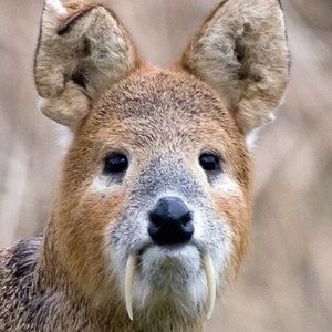 Meet your Posher, Alix